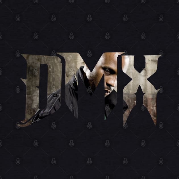 dmx by rsclvisual